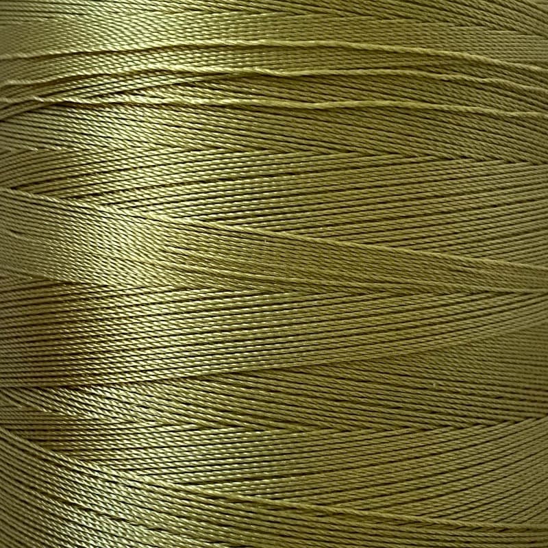 oliva