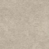 Ellison_9534_pl