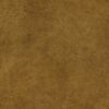 Harrison_9116_pl