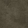 Harrison_9811_pl